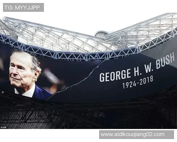 乌鸦与美洲虎的智慧与力量之争谁能在自然界中胜出