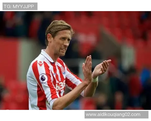 我是安迪卡罗尔我的故事与梦想在追逐中绽放光彩