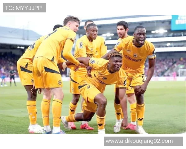 桑德兰对阵狼队精彩直播全程回顾与赛后分析